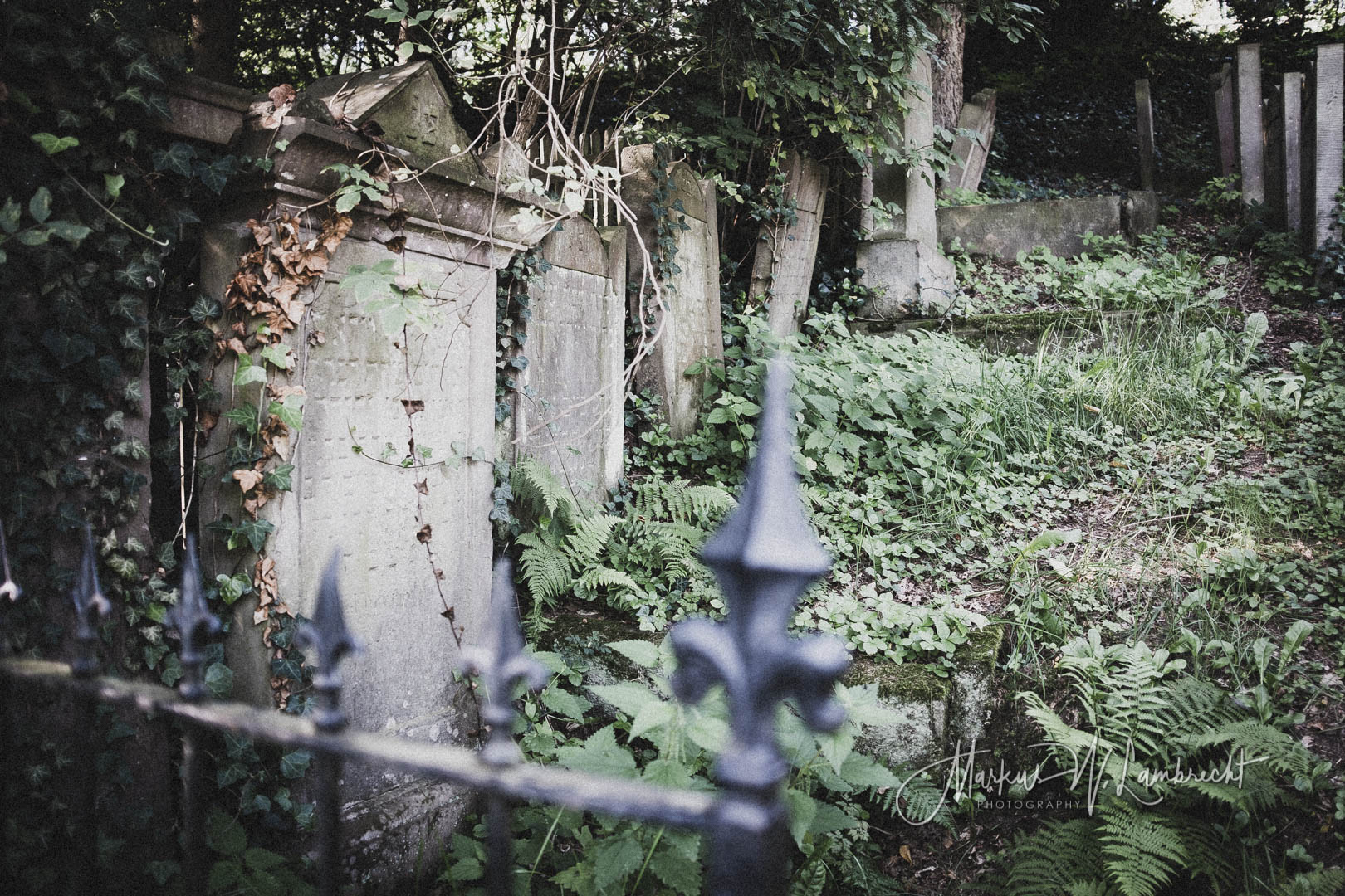Adelebsen, Jüdischer Friedhof